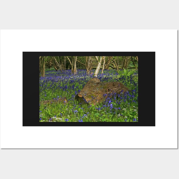 Bluebell Wood Wall Art by RedHillDigital